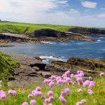 Le curiosità nascoste di Irlanda: sospese, magiche e gelose!