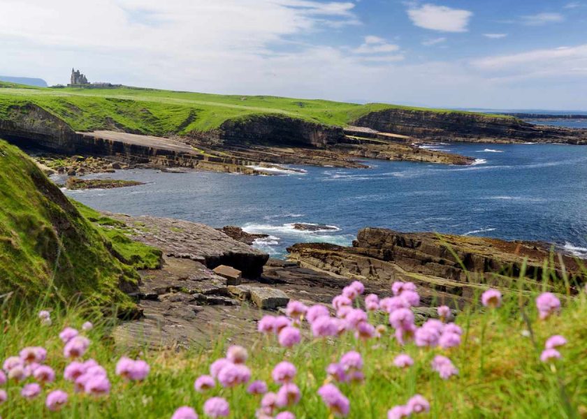 Webp-compressed – 2020-02-18T160227.623