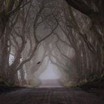 Game of Thrones: cosa accadrà nella sesta stagione?