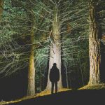 Sta arrivando la terza stagione di Twin Peaks