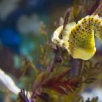 10 documentari bellissimi che ispireranno bambini e ragazzi