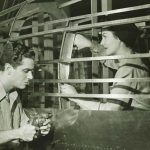 Il primo maggio negli Stati Uniti: la storia e le origini