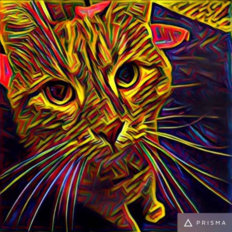 paper art psichedelic