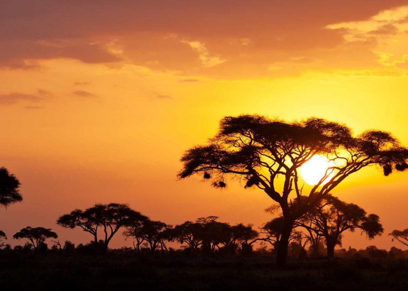 Webp-compressed-2020-02-24T145317.092