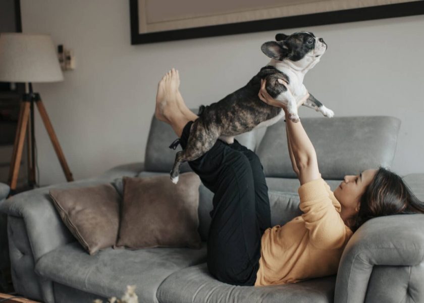 an asian chinese beautiful woman pet owner bonding time with her pet french bulldog on sofa pretend flying