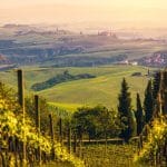 L’inglese per le aziende: l’esperienza di Ruffino con MyES