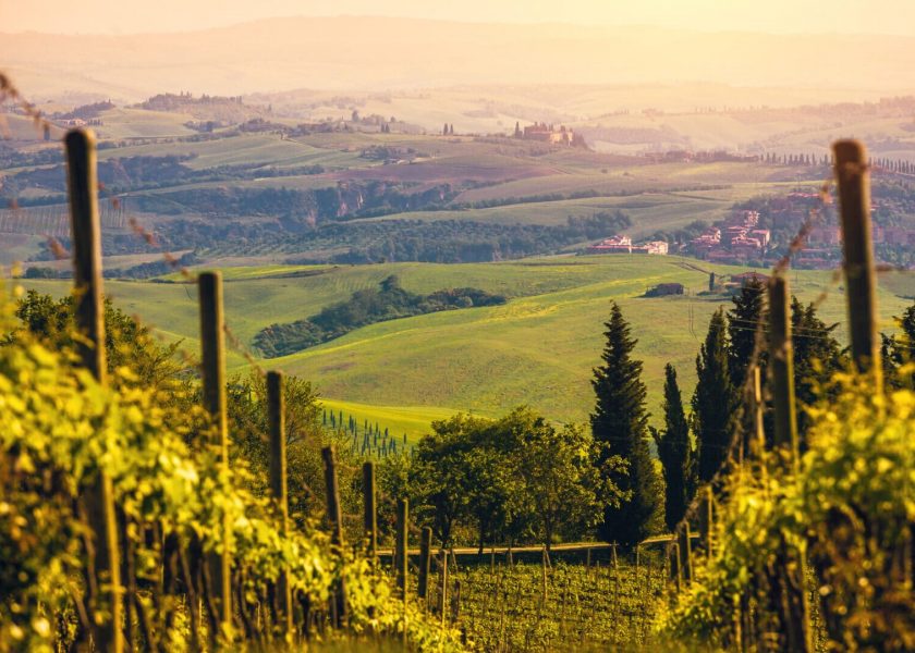 Vineyards in Italy at Sunset, Chianti Region
