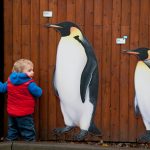 Come si fa, in inglese, il comparativo di maggioranza e di minoranza