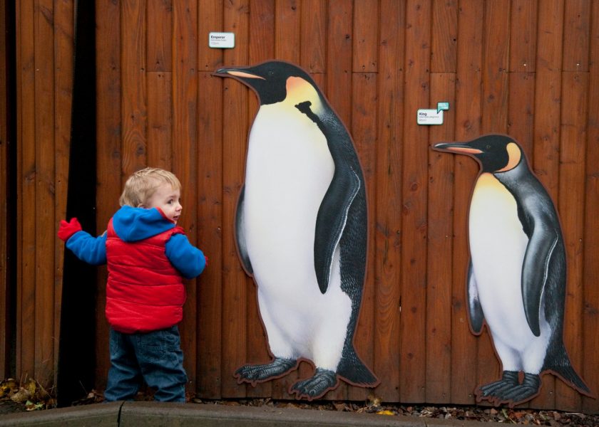 Comparativo di maggioranza in inglese: come si fa