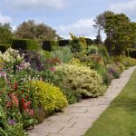 Giardino all'inglese: come realizzarlo e curarlo