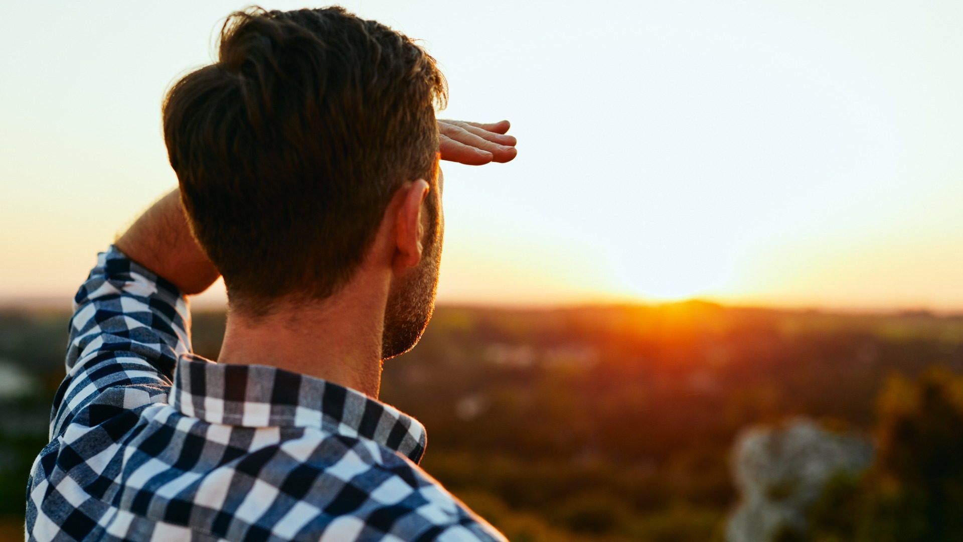 differenza tra see watch e look