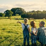 Nomi di animali in inglese: l'elenco per habitat