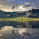 8 raisons de visiter la Nouvelle-Zélande