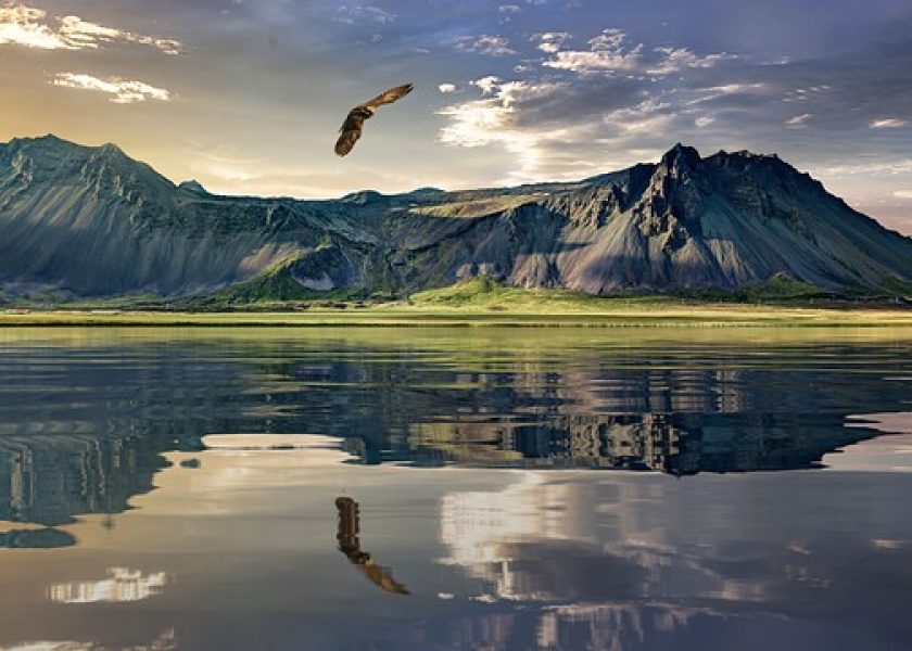 myes my english school nz